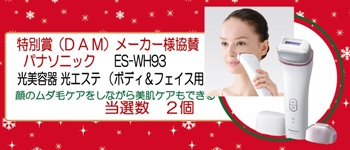 １６等パナソニック 光美容器 光エステ ES-WH93